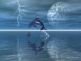 /album/a3-d-obrazky-/a4ae692da1f-7087362-o2-jpg/